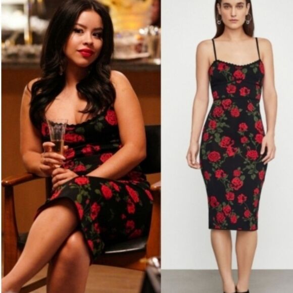 BCBGmaxazria Stunning Rose Knit Jacquard Dress Small - Picture 8 of 10